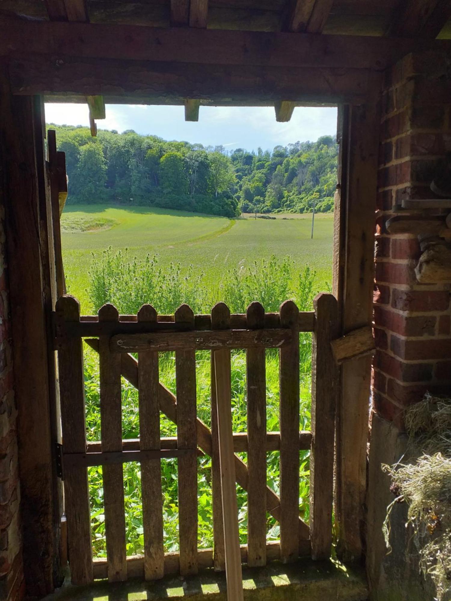 Up At The Barn 호텔 펫워스 외부 사진